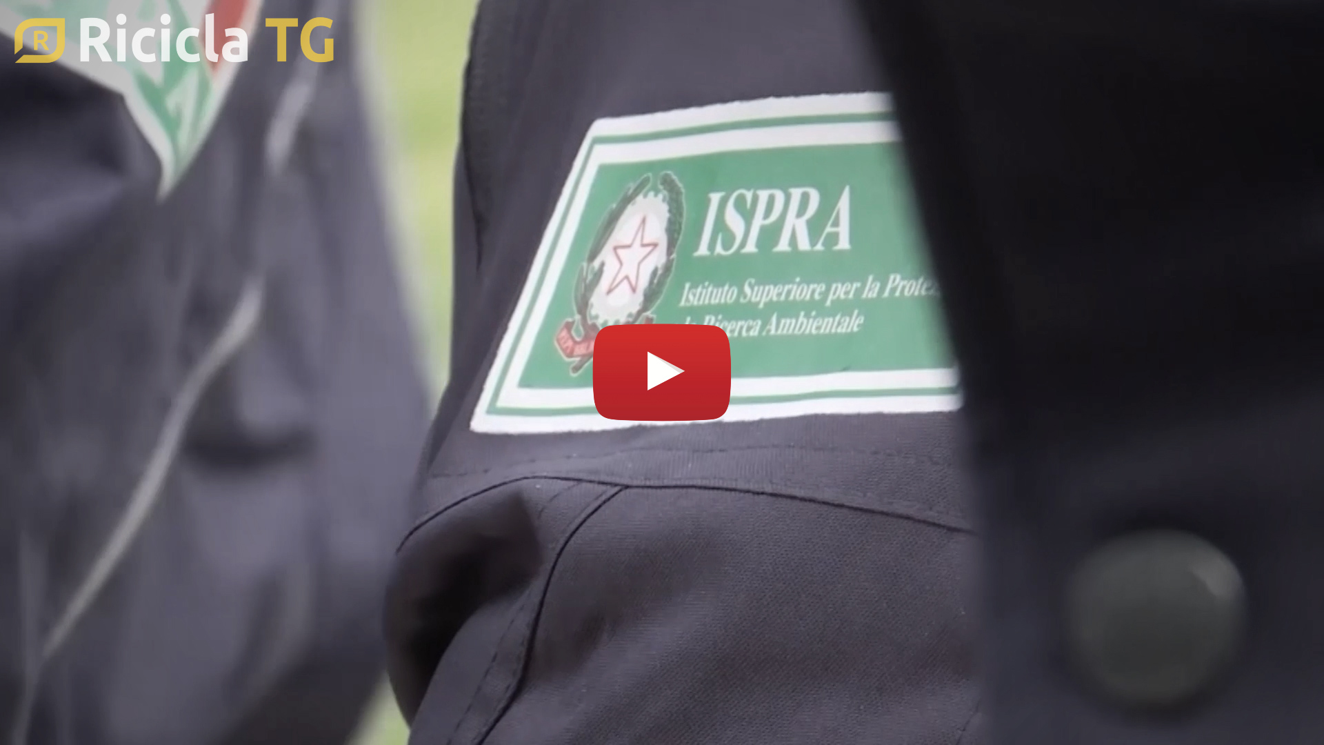 End of waste: da Ispra i primi chiarimenti sul sistema dei controlli – TG 10/10/2019